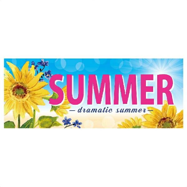 y10zЂ܂T}[ p|X^[_55-35-3-1_8305-312