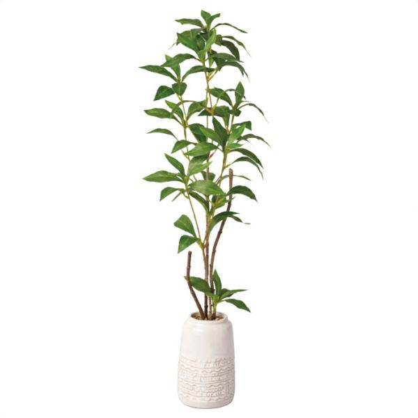 金木犀は香りが強く女性人気の高い植物です。フェイクグリーンならお手入れ不要で虫もつかず、いそがしいお店のインテリアにぴったりです。【サイズ】幅26×奥行35×高さ66cm鉢：直径9.5×高さ14.5cm【素材】葉・幹：ポリエチレン・スチール...