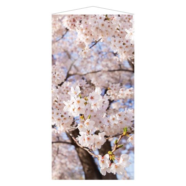 桜満開タペストリー ストア・エキスプレス タペストリー おしゃれ 大判 風景_タペストリー