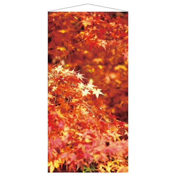 タペストリー おしゃれ 大判 風景_秋タペストリー 赤紅葉 1枚_57-101-17-1_8348-7008