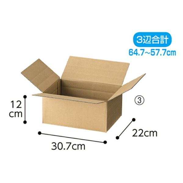 �y20������z�ώ��_���{�[�� 30.7×22×12(5�E8.5)cm_61-659-26-3_36125-5064