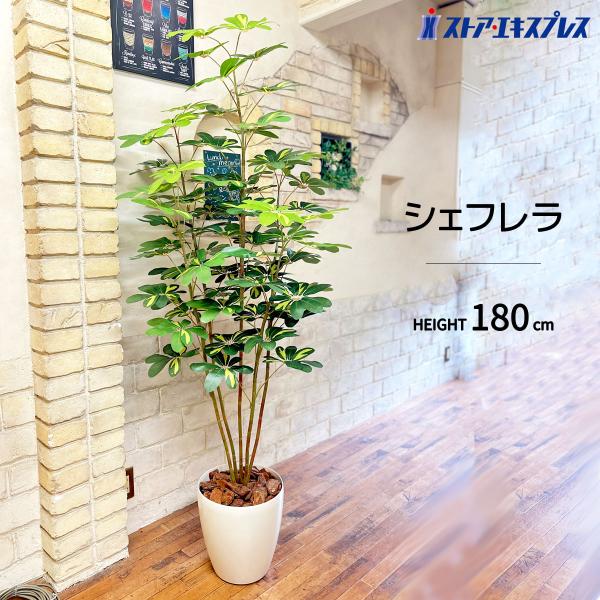 ストア・エキスプレス フェイクグリーン 大型 観葉植物 フェイク 人工