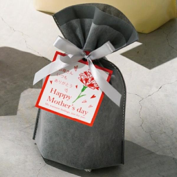 ギフトバック付き gift01_grande.jpg?v=1700789974