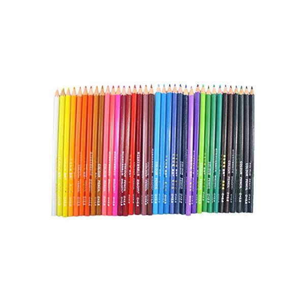everycor 色鉛筆 36色セット 文具 お絵描き イラスト描き プレゼント 子供 大人の塗り絵用 カラー ペンシル 鉛筆