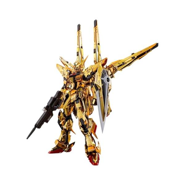 RG 1/144 アカツキガンダム用シラヌイパック & HGゼウスシルエット 