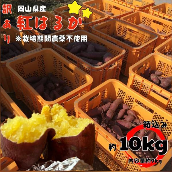 [Release date: October 16, 2025]栽培期間農薬不使用　紅はるかスーパーの綺麗な見た目には劣りますが、安心安全甘いねっとりサツマイモはここにあり。・送料の関係で箱込み10ｋｇ未満ギリギリになるように　梱包させて頂...