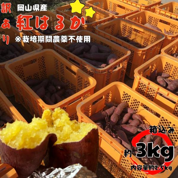[Release date: October 16, 2025]栽培期間農薬不使用　紅はるかスーパーの綺麗な見た目には劣りますが、安心安全甘いねっとりサツマイモはここにあり。・送料の関係で箱込み3ｋｇ未満ギリギリになるように　梱包させて頂き...