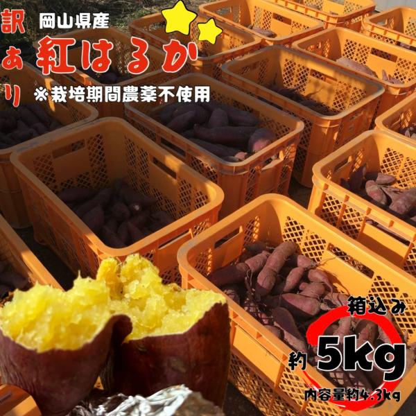 [Release date: October 16, 2025]栽培期間農薬不使用　紅はるかスーパーの綺麗な見た目には劣りますが、安心安全甘いねっとりサツマイモはここにあり。・送料の関係で箱込み5ｋｇ未満ギリギリになるように　梱包させて頂き...