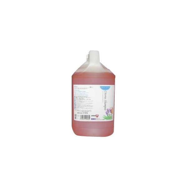 送料無料 Sp 6 スーパープロシリーズ シトラスシャンプー 4l Www Abq