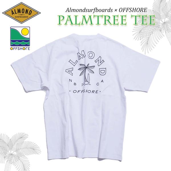 23 SS Almond アーモンド OFFSORE オフショア コラボTシャツ