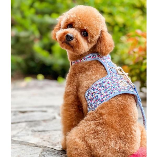Mサイズ】HGP ハーネス 犬 猫 花柄 フラワー 海外ブランド インポート