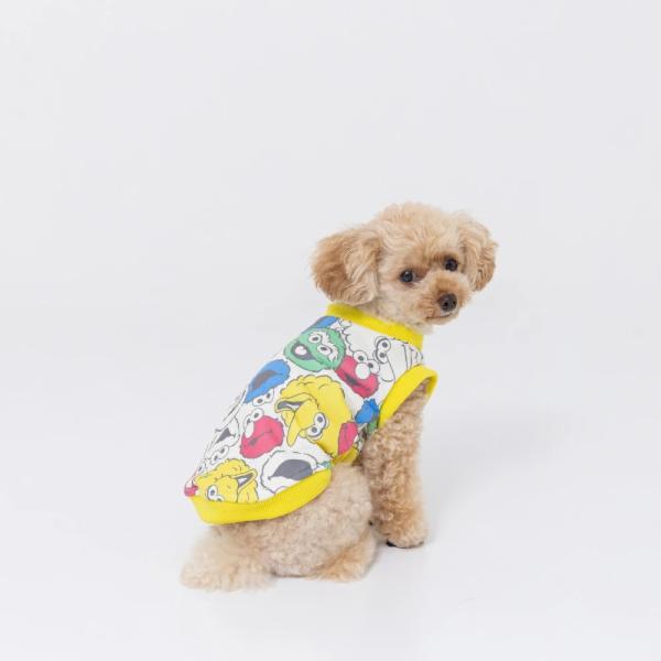 strangely_ss242-022-020