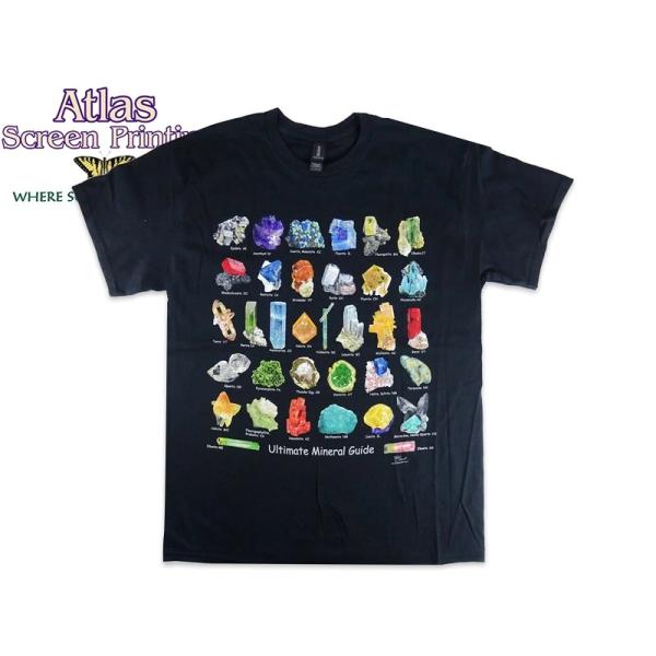 ATLAS SCREEN PRINTING アトラススクリーンプリンティング Ultimate Mineral Guide WILD COTTON TEE BLACK ツリー Tシャツ ブラック 23164