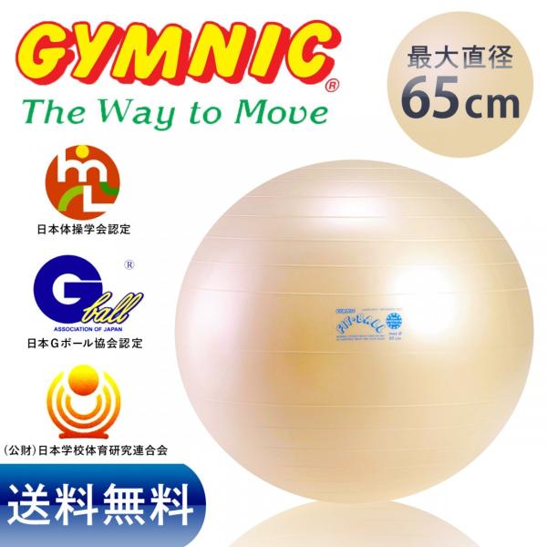 ギムニク フィットボール 65cm パール色 バランスボール Buyee Buyee Jasa Perwakilan Pembelian Barang Online Di Jepang