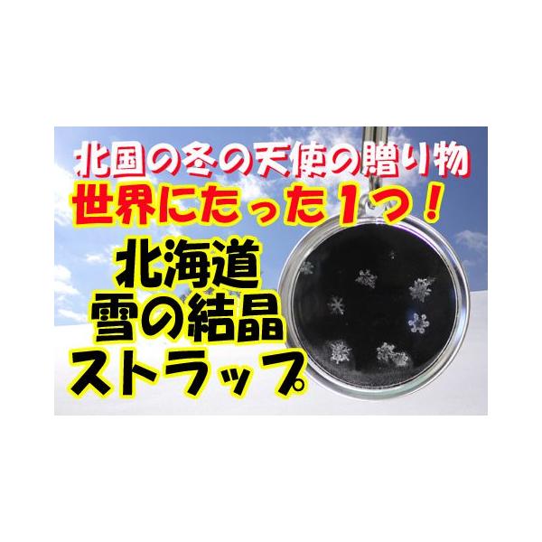本物の雪の結晶 携帯ストラップ 予約受付中 Buyee Buyee 日本の通販商品 オークションの代理入札 代理購入