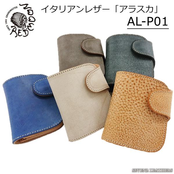sts_al-p01