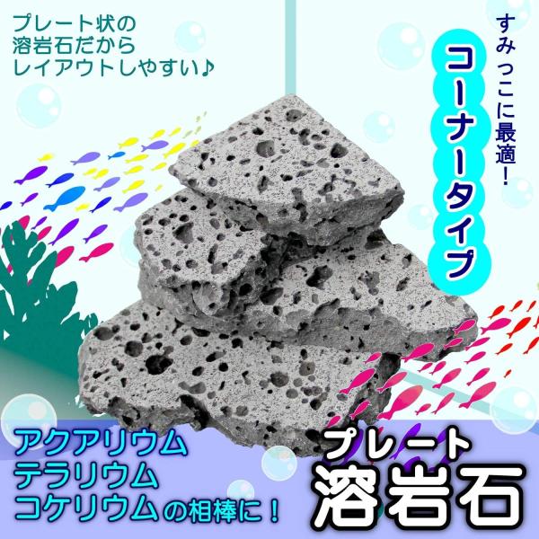 水槽用天然石 2kg コーナー 溶岩石プレート アクアリウム 石