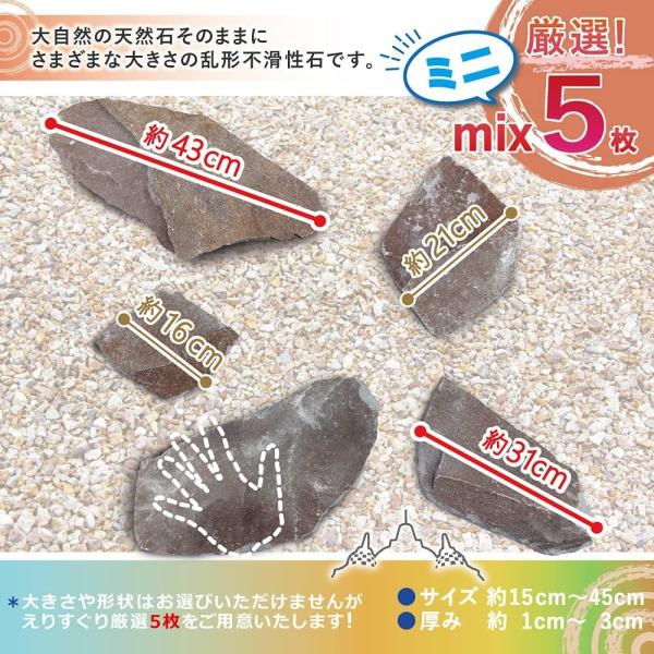 XebvXg[ ѐ WS ~j 5 uE F  ݐ  ~   ݐ  S ` ~   u