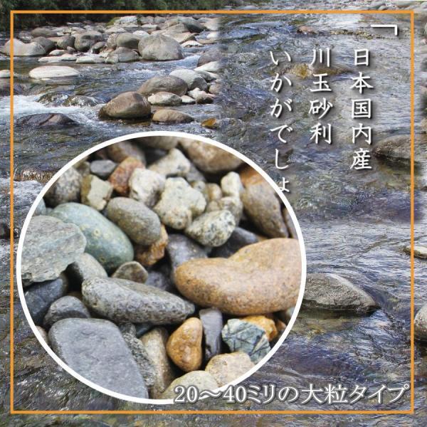 ANAE pꍻ Y ʍ 20mm`40mm