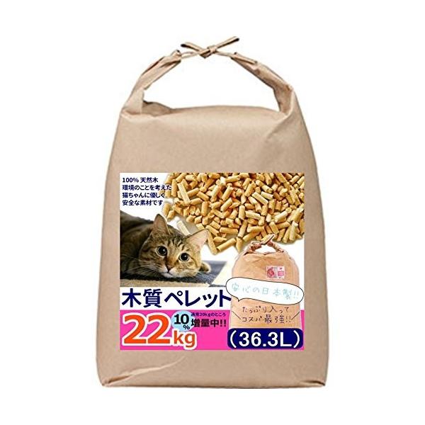 L ybg 22kg L̍ VXegC L ؎ybg LgC L   Y L ΍ EL zCgybg 10ʒ