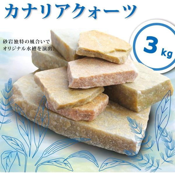 JiANH[c 3kg ANAẼCAEg