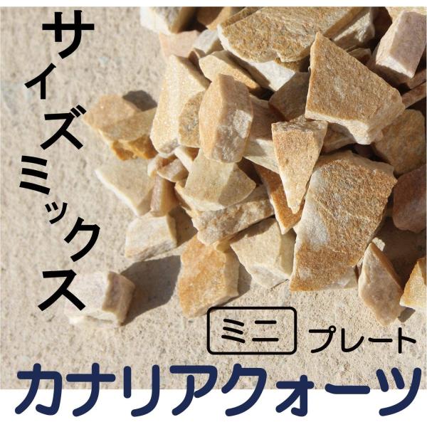 p JiANI[cTCYSS 2kg萅̃O[f閾邢F