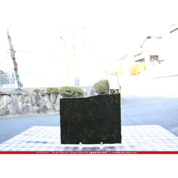 超人気の モレッティ MO-052 約12cm×約12cm ecufilmfestival.com