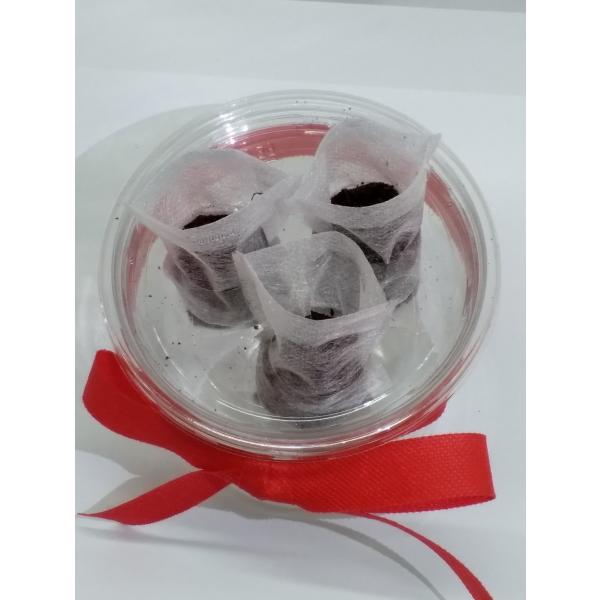 家庭用 ハーブの水耕栽培キット 窓辺で三つ葉 Buyee Buyee Japanese Proxy Service Buy From Japan Bot Online