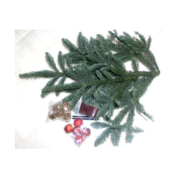 もみの木　フレッシュモミの木のクリスマスリースキット  クリスマスリース  手作りキット  生花 切花 資材 もみのき モミノキ  樅ノ木    フラワー リース