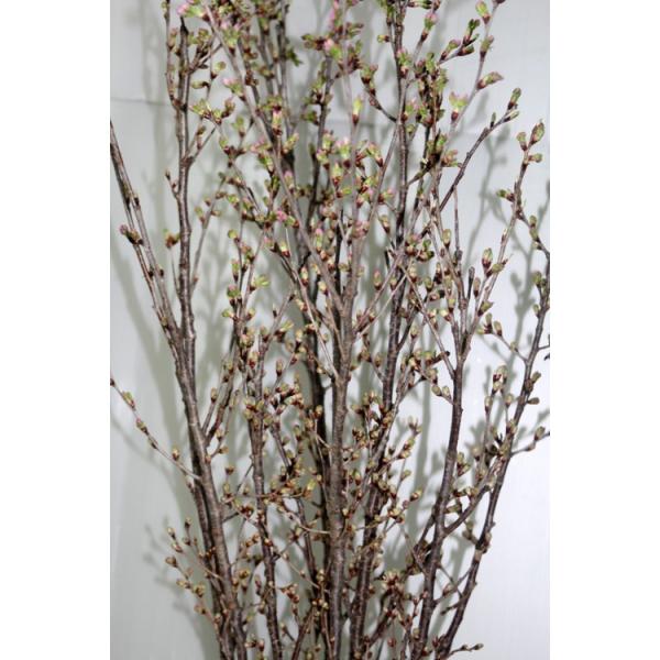 桜の枝 花枝 啓翁桜 東海桜 彼岸桜１把 切花 生花 資材 Buyee Buyee Japanese Proxy Service Buy From Japan Bot Online