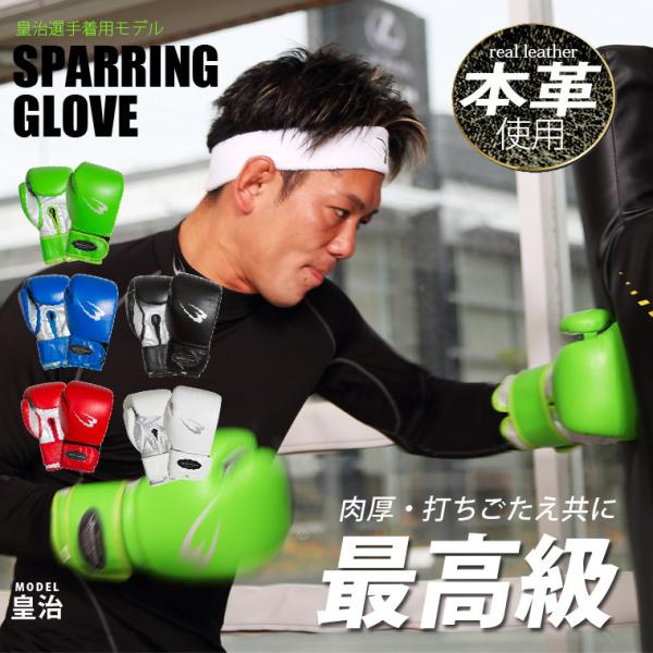 【総額5万円】格闘技 ボクシング MMA 防具一式 stuffin_kg065