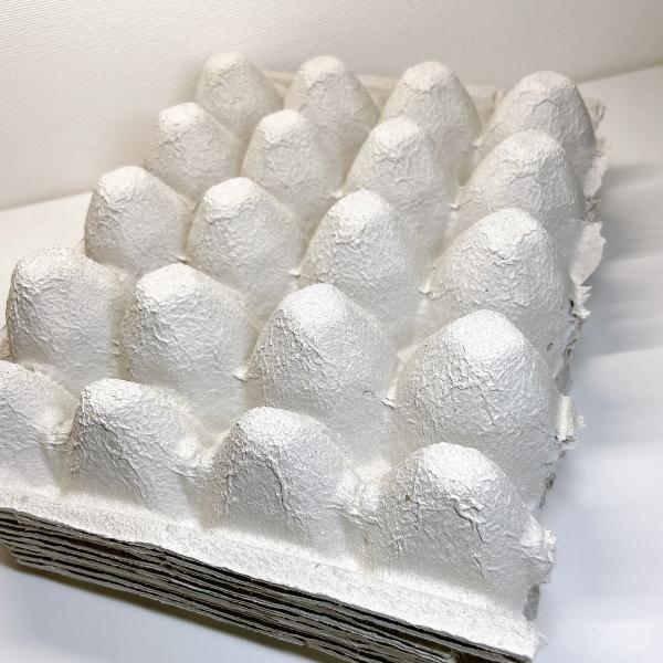 昆虫飼育、デュビア、コオロギなどの飼育や繁殖用に便利な卵トレー8セットです。無害な素材を使用、弊社飼育環境でも利用しているものです。■サイズ横22.5cm、縦29.5cm、高さ8cm■素材再生紙(パルプモールド)※細心の注意を払って発送いた...