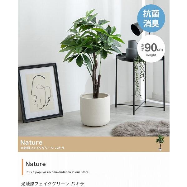Nature 光触媒人工観葉植物 パキラ【高さ90cm】 : EYL公式ストア