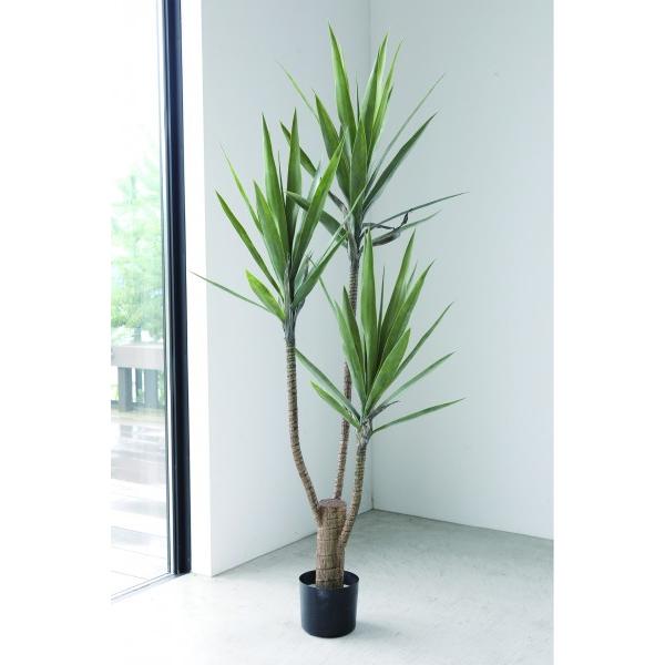特大 ユッカ 観葉植物 高さ 180cm 幅 75cm 光触媒 人工観葉植物