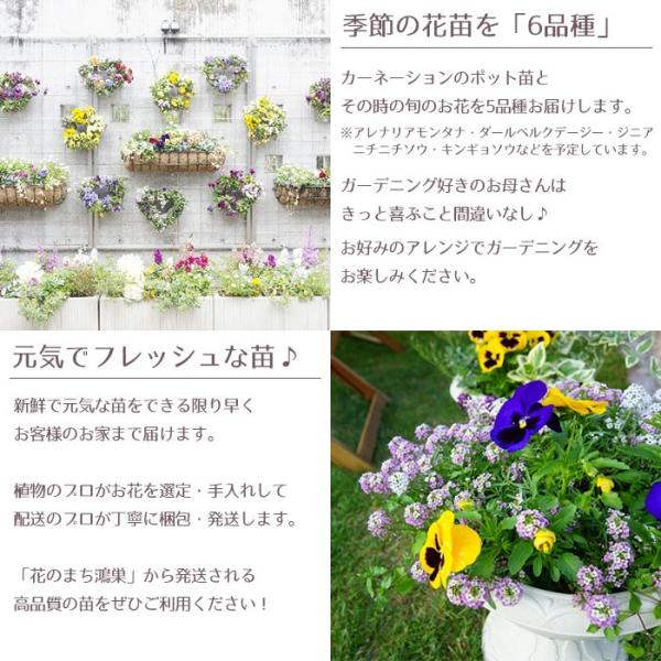 母の日 プレゼント 季節の花苗 カーネーション入り 12ポット 寄せ植えセット 5月9日 フラワーギフト 送料無料 沖縄 離島を除く Buyee Buyee Japanese Proxy Service Buy From Japan Bot Online