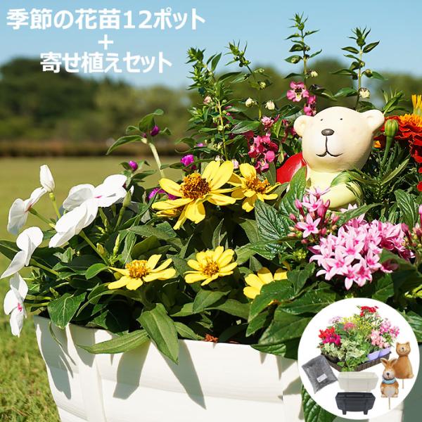 花苗 冬 セット 12ポット 寄せ植えセット おしゃれな寄せ植えが簡単に作れます 送料無料 沖縄 離島を除く Buyee Buyee 日本の通販商品 オークションの入札サポート 購入サポートサービス