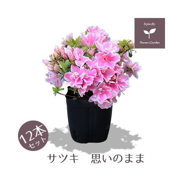 style1187_niwaki-040