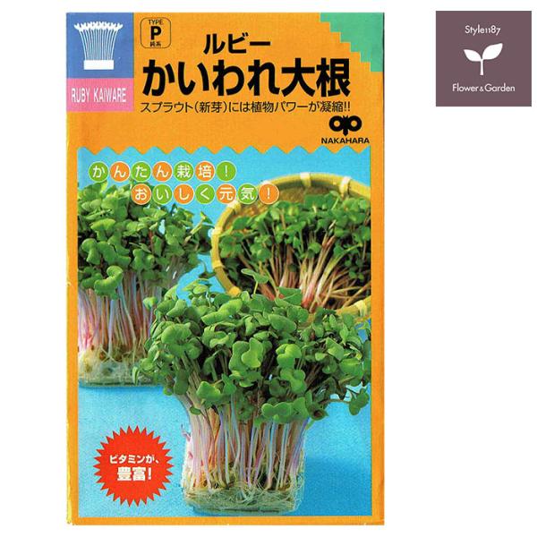 四季を通じていつでも、どこでも栽培出来る作り易い赤茎のかいわれ大根。カロチンやビタミンC、ビタミンKが多い。抗酸化、抗菌作用があり、よく噛んで食べると酵素反応が活発化して効果を増す。