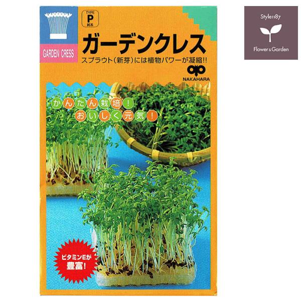 クレソンの一種。味はピリッとした辛みが強い。ビタミンEがとくに豊富で、ビタミンC、B1、カロチンなども含まれる。栄養成分の代謝や利尿作用、胃液や胆汁の分泌を促進。赤血球の形成を促す働きもある。抗酸化作用が強い。※種は水につけるとぬるぬるして...