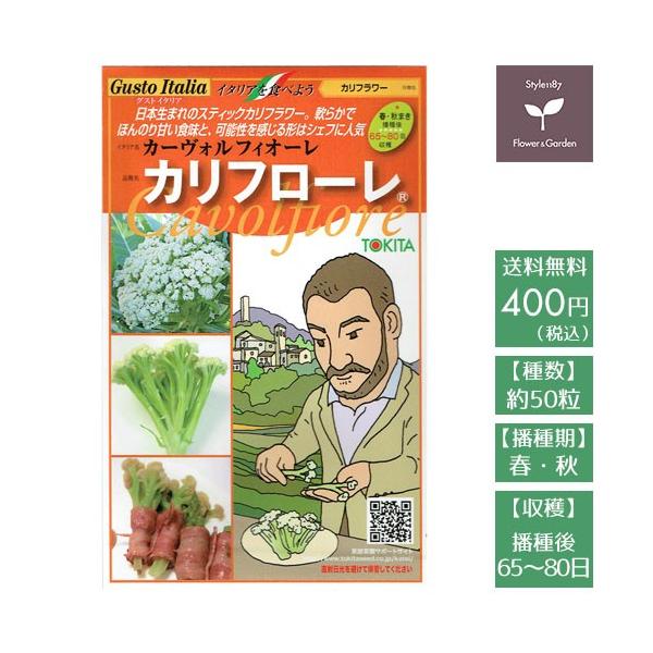 スティックタイプのカリフラワー。 やわらかでほんのり甘い食味と可能性を感じる形はシェフに大人気！品種：カリフローレイタリア名：カーヴォルフィオーレ作物名：カリフラワー種数：50粒播種期：春・秋収穫までの目安：播種後　65〜80日