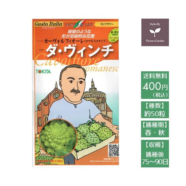 ロマネスコタイプのカリフラワー。サンゴのような形の芸術的な花蕾。品種：ダ・ヴィンチイタリア名：カーヴォルフィオーレ作物名：ロマネスコタイプカリフラワー種数：50粒播種期：春・秋収穫までの目安：播種後　75〜90日