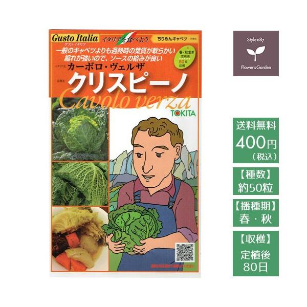 野菜のタネ クリスピーノ キャベツ イタリアの珍しい種を送料無料でお届け Buyee Buyee 日本の通販商品 オークションの代理入札 代理購入