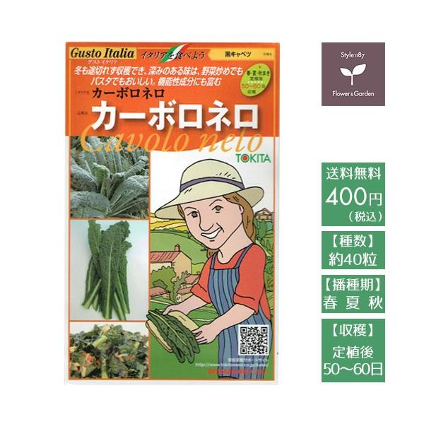 冬の間も途切れず収穫できる。炒めても、トスカーナ風の煮込み料理でもおいしい！品種：カーボロネロイタリア名：カーボロネロ作物名：黒キャベツ種数：40粒播種期：春・夏・秋収穫までの目安：定植後　50〜60日