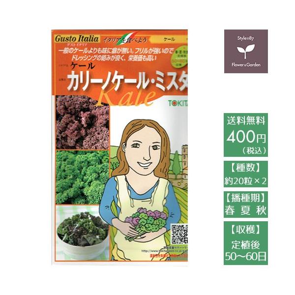 フリル形状の葉が特徴で立体的な形状となりボリューム感が出る。栄養価が高く苦みやエグ味が少なくクセがない。品種：カリーノケール・ミスタイタリア名：ケール作物名：ケール種数：20粒×2種播種期：春・夏・秋収穫までの目安：定植後　50〜60日