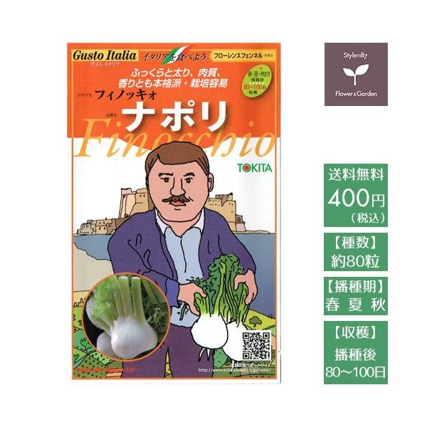 野菜のタネ　ナポリ（フローレンスフェンネル）　イタリアの珍しい種を送料無料でお届け!!