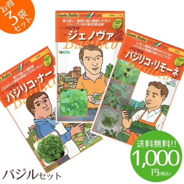 ジェノバ2（大葉品種）、バジリコナーノ（小葉品種）、バジリコリモーネ2（レモンバジル）のバジル3品種セット