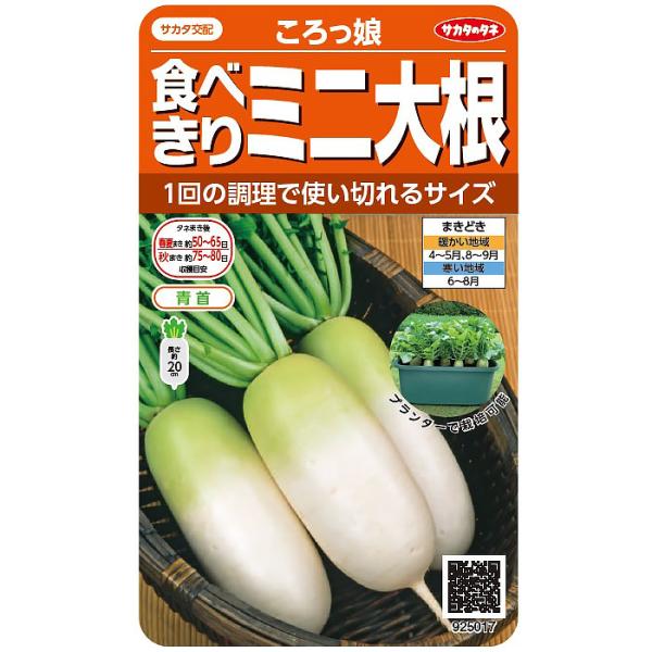 野菜の種　実咲野菜5017　食べきりミニ大根ころっ娘