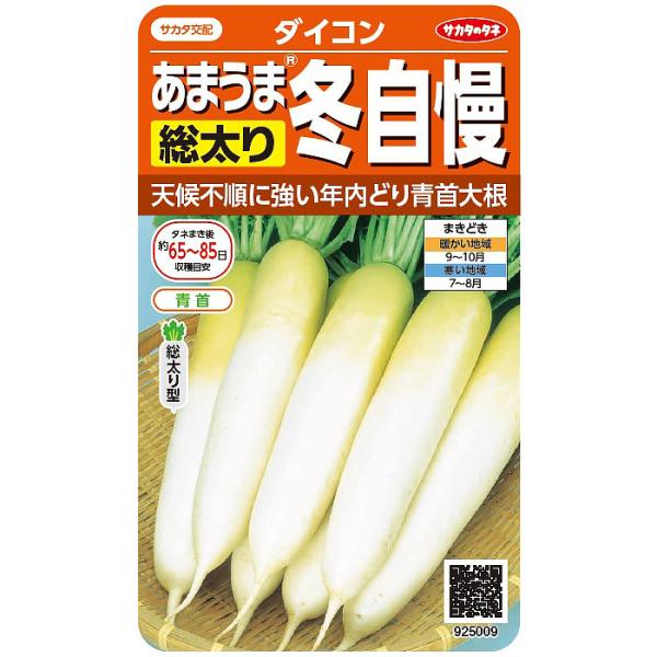 みずみずしくて水分たっぷりの肉質は、生食も、煮込んだときのうまみも格別です。滑らかでツヤがある肌も特長の一つ。葉が小さくて立性なので密植ができ、す入りも遅いので、家庭菜園で立派なダイコンが収穫できます。商品名 冬どりあまうま大根冬自慢ＪＡＮ...