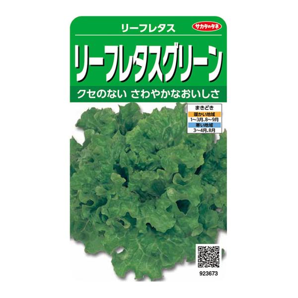 他サイト： 野菜の種　実咲野菜3673 リーフレタス リーフレタスグリーンの商品画像