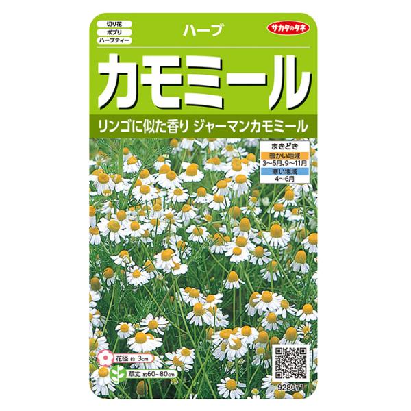 初夏に小さい菊に似た白い花が咲く1年草です。欧米では紅茶の代わりに愛飲され、ギリシャ語の「大地のリンゴ」という名前の通り、リンゴに似た甘い香りがします。切り花としても利用されるハーブです。